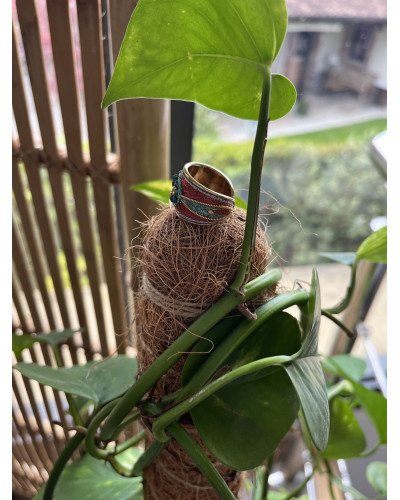 Anillo India Exótica